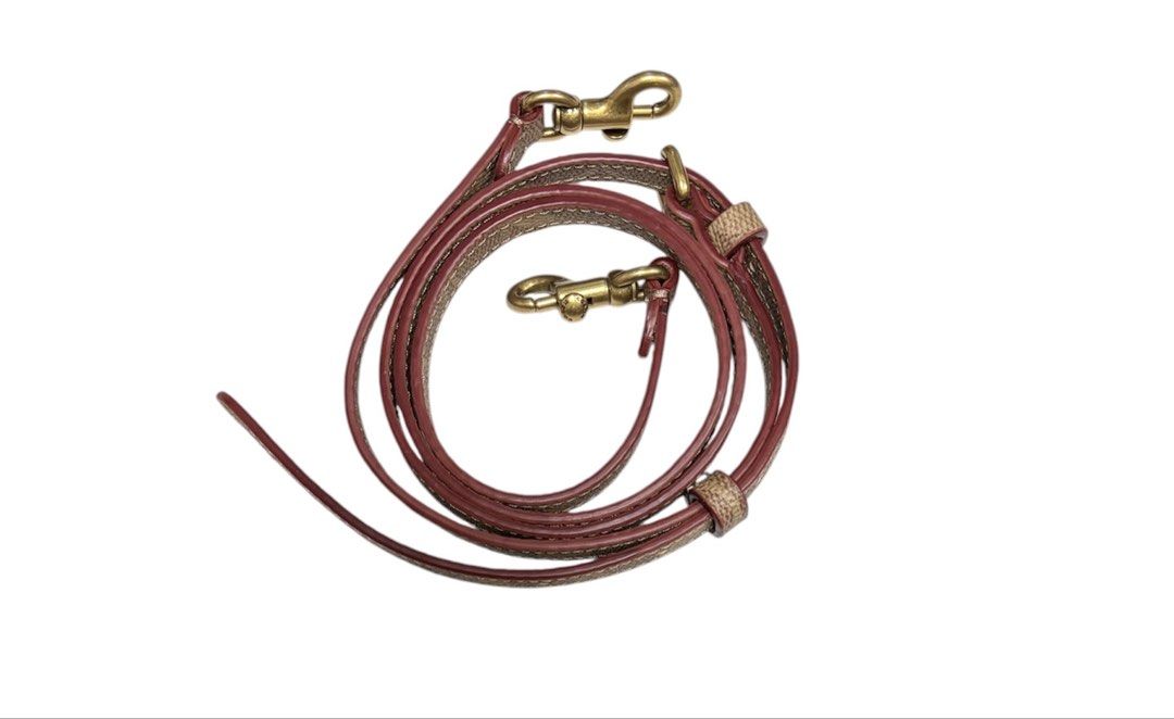 COACH 經典老花 恐龍 造型 手提 斜背包 保證正品
