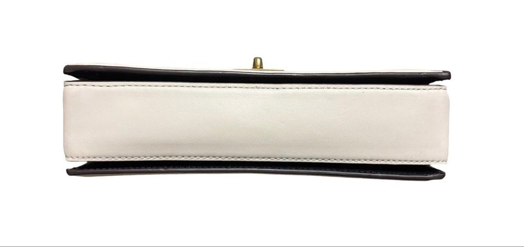 COACH X GUANG YU 中國藝術家 廣煜 聯名款 HUTTON 肩背 斜背包 保證正品